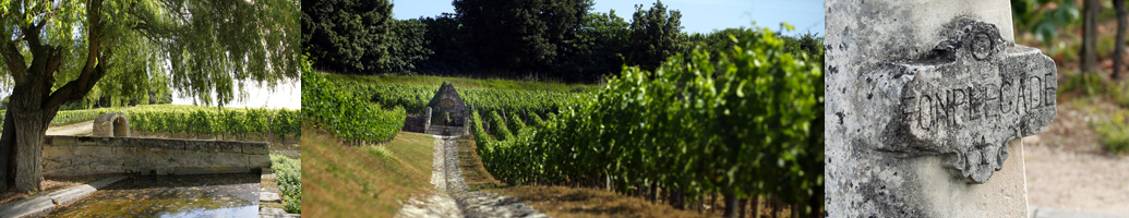 Rencontres vinicoles lausanne